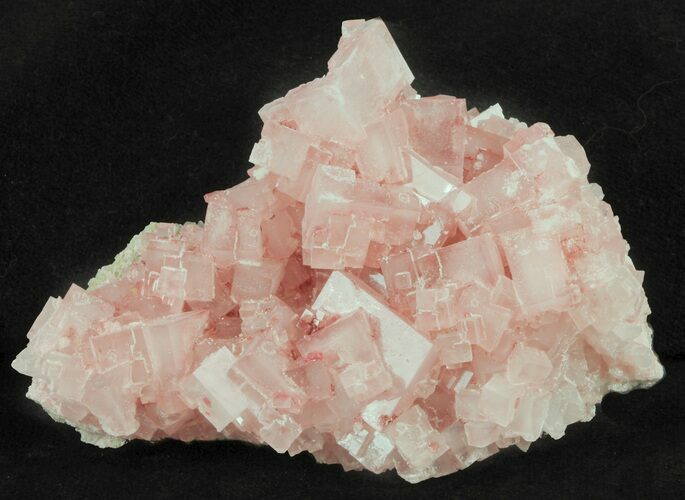 Pink Halite Crystal Plate - Trona, California #61057